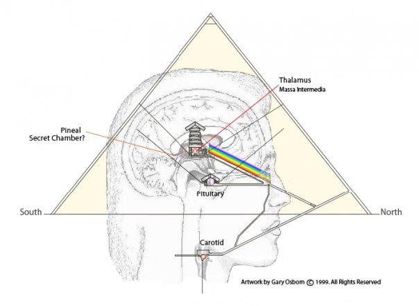 Pyramid vastu shastra with human